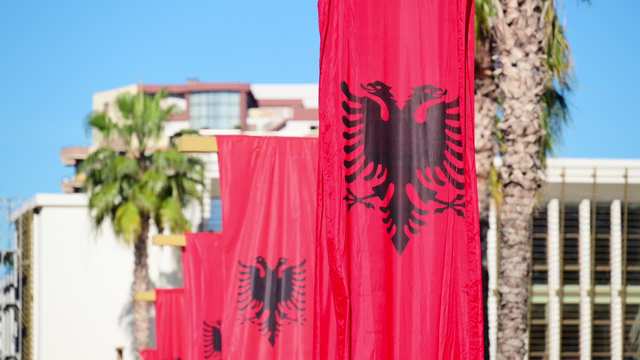 Albanska flaggor med emblem föreställande en tvåhövdad örn som visar nationell identitet i en stadsmiljö.