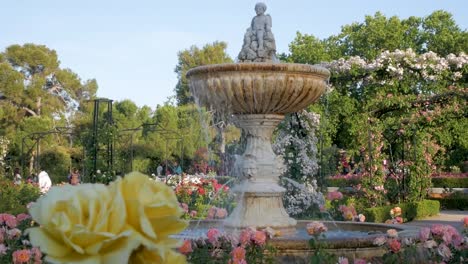 ancient cupid fountain in the rosaleda rose garden in madrid. serene and picturesque garden scene.