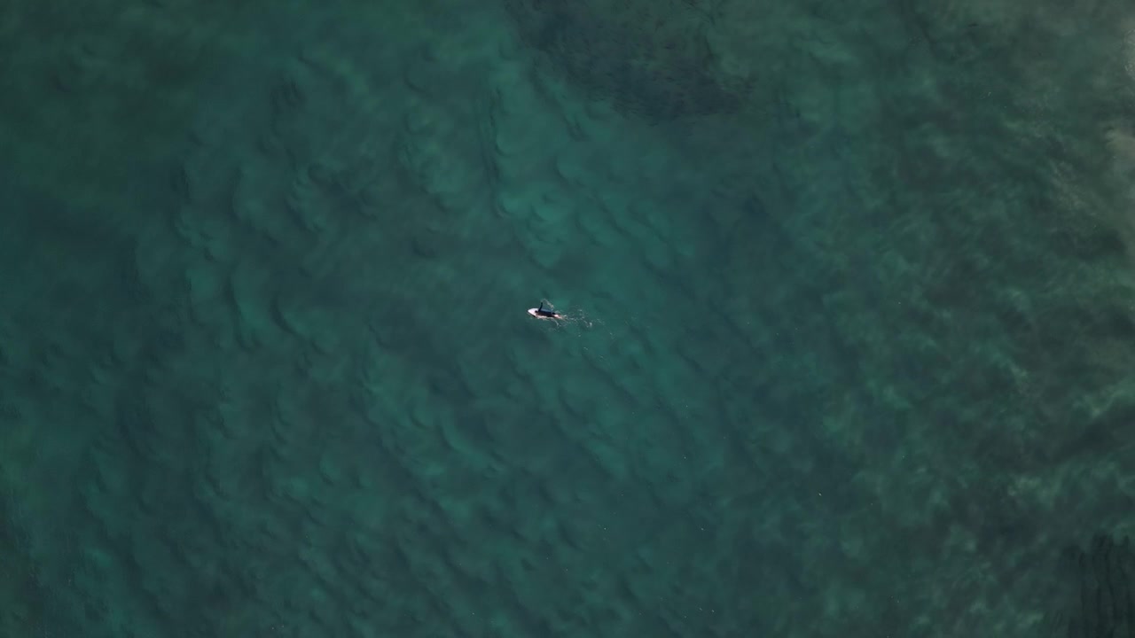 Solo surfer paddles across clear blue ocean water off coast with textured sand patterns and soft light dancing below surface, aerial overhead backdrop