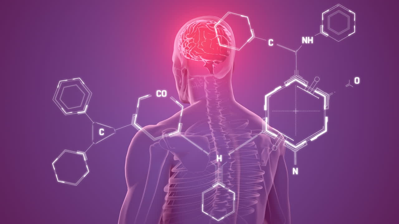 보라색 배경에 뇌를 가진 회전하는 인체 모델 위의 화학 구조의 애니메이션