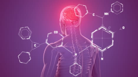 animación de estructuras químicas sobre un modelo giratorio del cuerpo humano con un cerebro en fondo púrpura