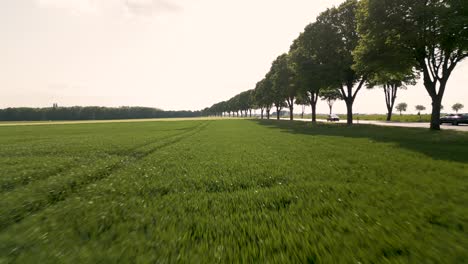 aerial drone forward moving shot over a path running alongside a road in brunswick, germany on a sunny day