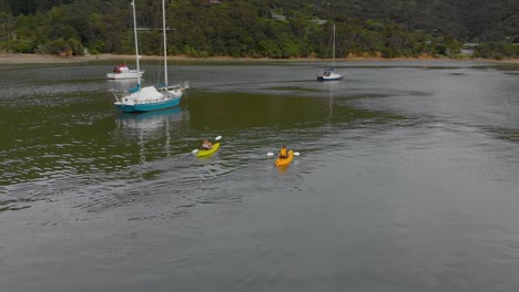 couple kayaking around yachts in bay in marlborough sounds, new zealand - aerial