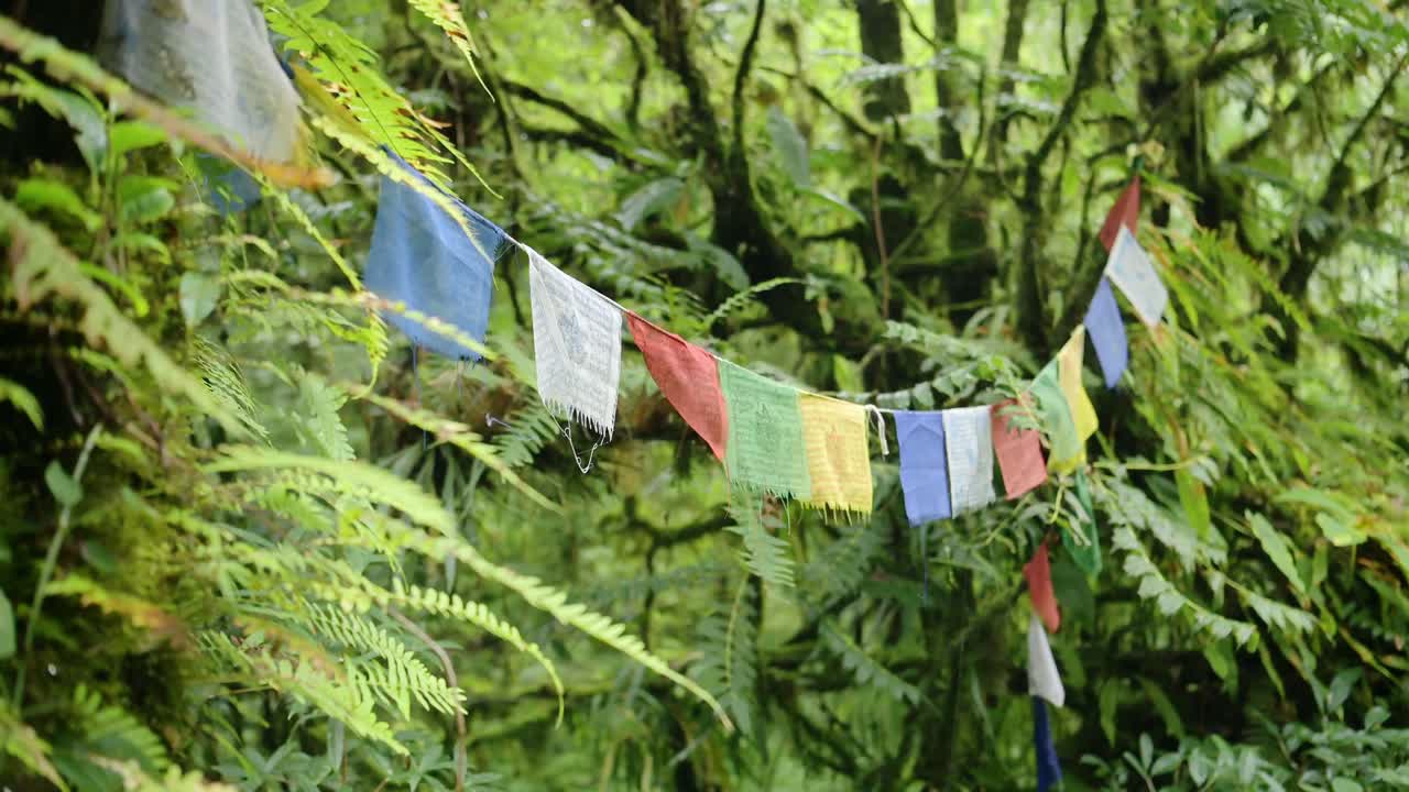 Buddhist Prayer Flags in the Rainforest, Colourful Buddhist Prayer Flags in Nature in Tropical Green Scene with Ferns Plants Trees and Greenery in Lush Luscious Setting in the Himalayas in Nepal