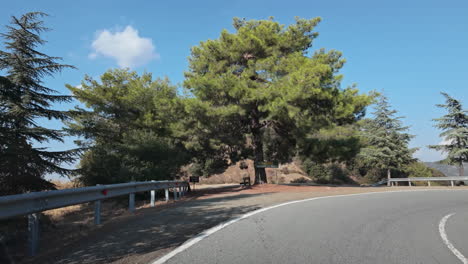 Mountain road winding through evergreen trees under a clear blue sky on a sunny day