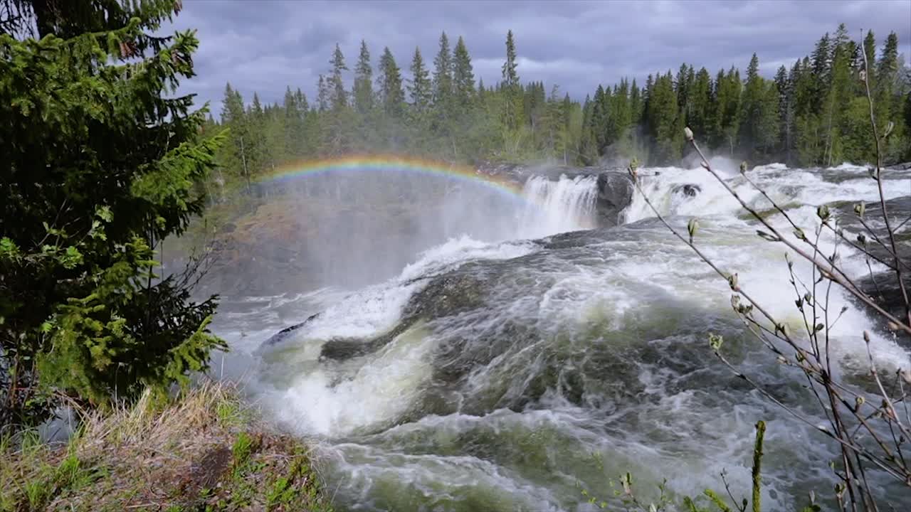 video en cámara lenta la cascada de ristafallet en la parte occidental de jamtland está catalogada como una de las cascadas más hermosas de suecia.