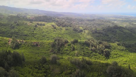 aerial view from above drone shot
