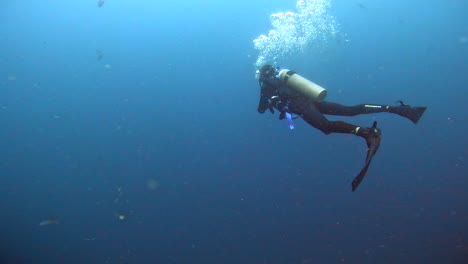 aquatic shot of diver exploring