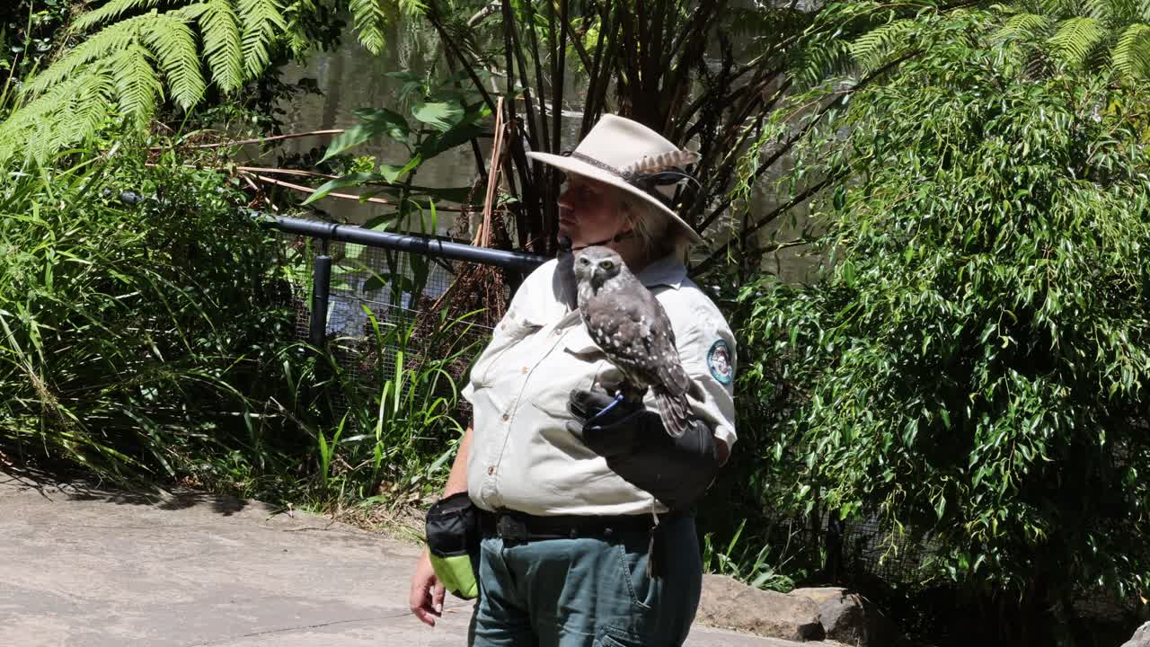 hombre sosteniendo un pájaro en un entorno al aire libre