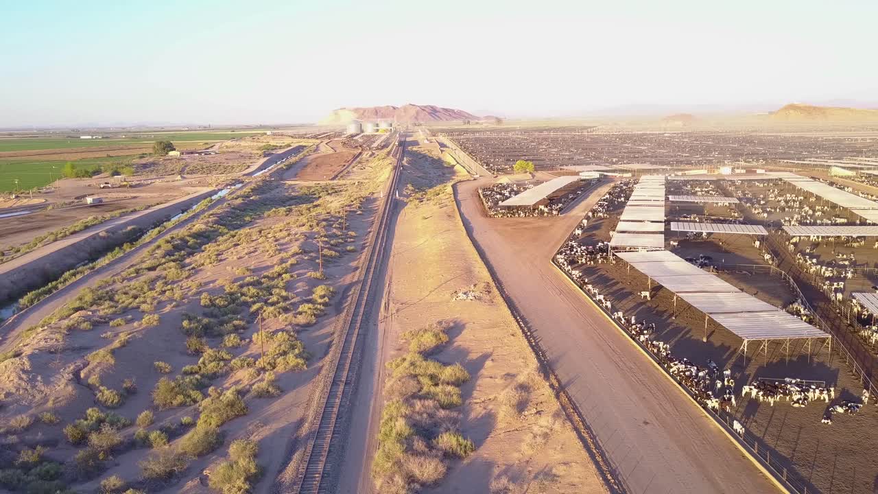 미국 서부 1에 있는 육우의 광대한 방목장 위의 안테나