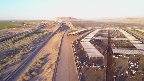 una antena sobre vastos corrales de ganado vacuno en el oeste americano 1