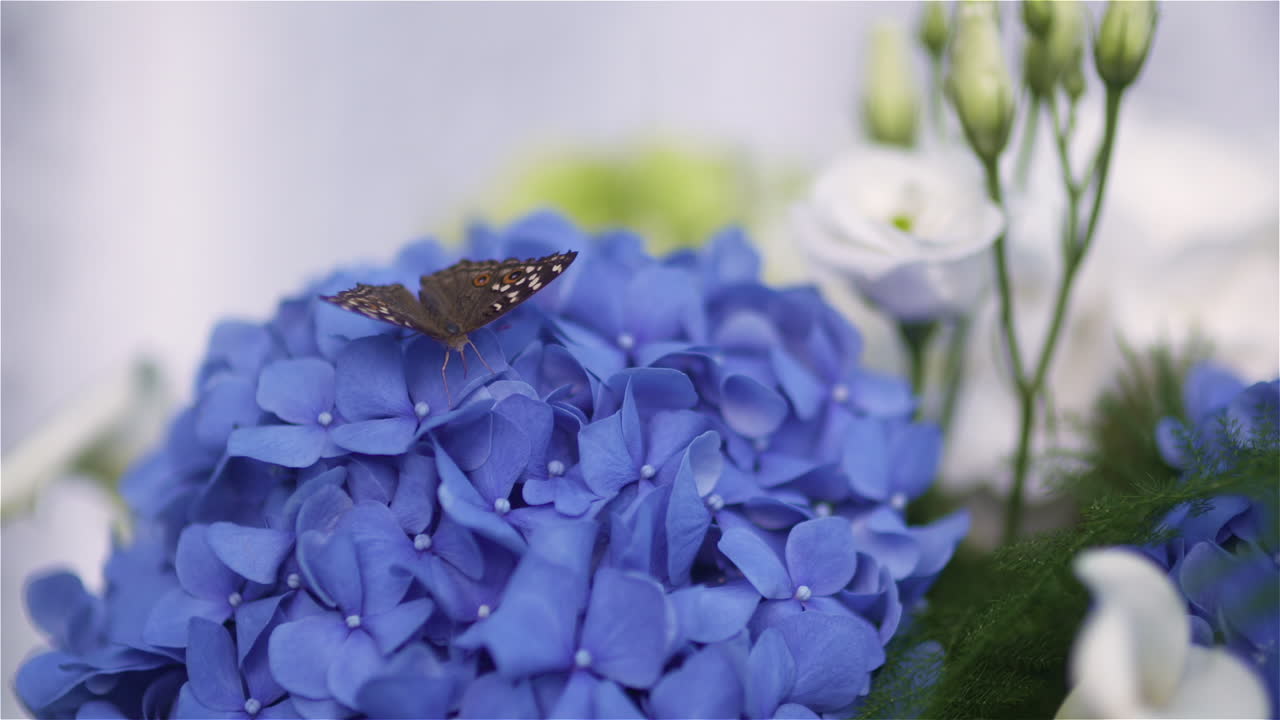 Fresh Rose Wedding Decoration Ideas