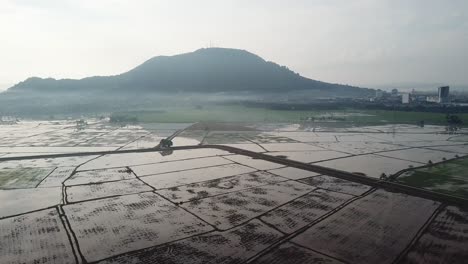 Reis-Wird-Gesät,-Indem-Die-Felder-In-Bukit-Mertajam,-Penang,-Mit-Wasser-Geflutet-Werden.