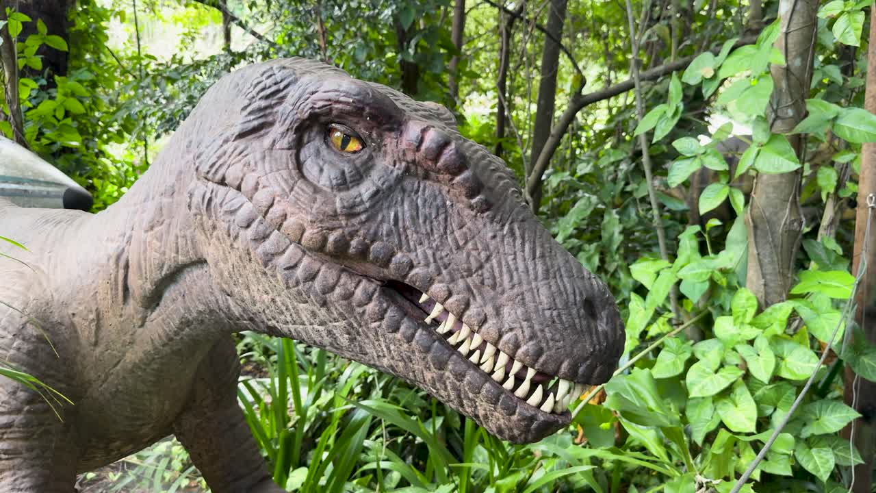 Animatronic Tyrannosaurus head turns slowly in bright, natural forest light, close-up perspective