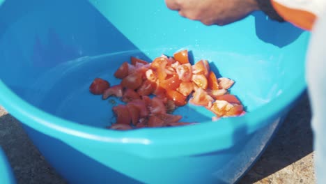 Man-cutting-tomatoes-into-plastic-bowl-using-knife-sunshine-outdoors