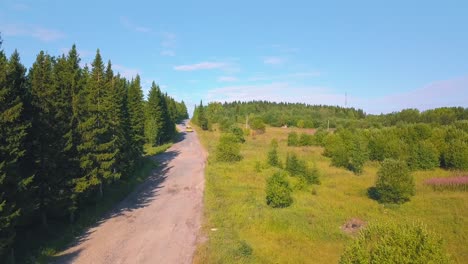 rural country road through forest