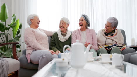 senior women, funny and friends in home living