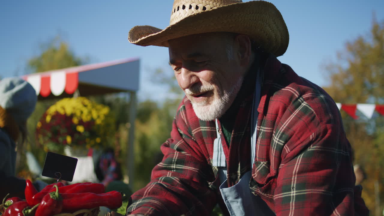 Elderly Woman Puts Products in Paper Eco Bag Senior Farmer Selling Fruits and Vegetables at the Stall Elderly Woman Puts Products in Paper Eco Bag Local Farmers Market or Autumn Fair Outdoors Agriculture Point of Sale system
