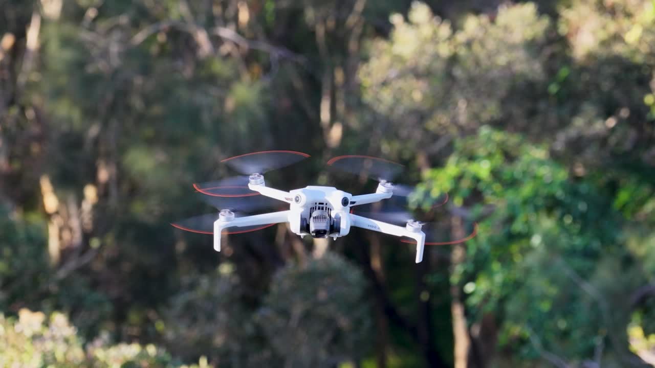 Aerial footage of a drone hovering steadily over a green park in Gold Coast, Australia, under bright daylight