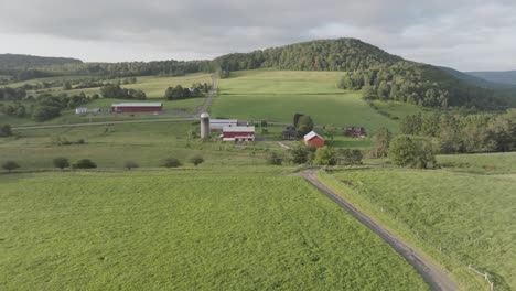 rolling green fields surround a farm in upstate new york, with red barns, a silo, and a winding country road leading toward a forested hillside.