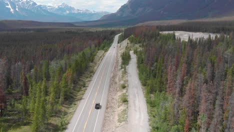 drone-flies-above-road-surrounded-with-trees,-mountains-in-the-background-landscape-in-summer-season