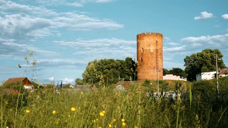 kamyenyets, brest region, belarus. tower of kamyenyets in sunny summer day with green grass in foreground