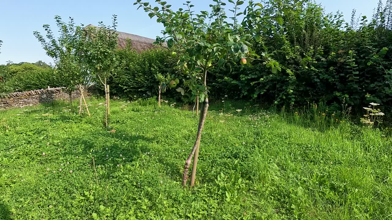 사과 나무 가 있는 그림 같은 시골 정원