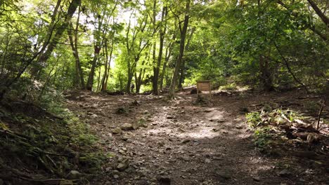 climbing daimonji path mountain in kyoto japan, inside trekking forest view kyoto