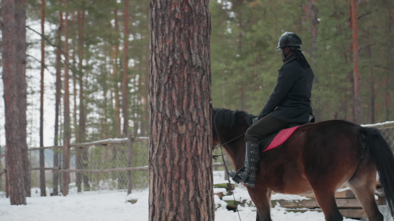Un jinete explora árboles helados y terreno cubierto de hielo; un jinete montado se aventura a través de un bosque de pinos nevado al amanecer; una persona a caballo atraviesa bosques invernales con nieve y luz solar tenue en lo alto.