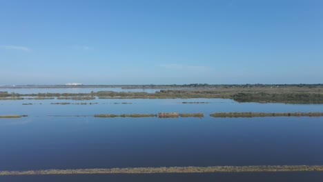 aerial view of a tranquil wetland