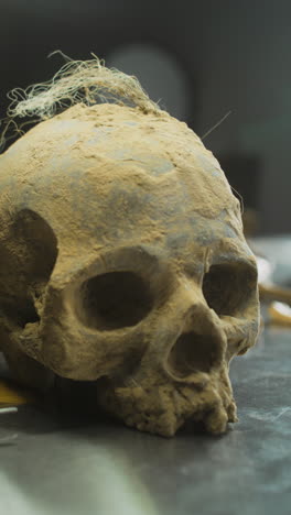 dusty skull on table