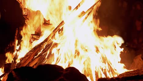 huevo ardiente brillante con leña caliente ardiente por la noche en el bosque. 4k