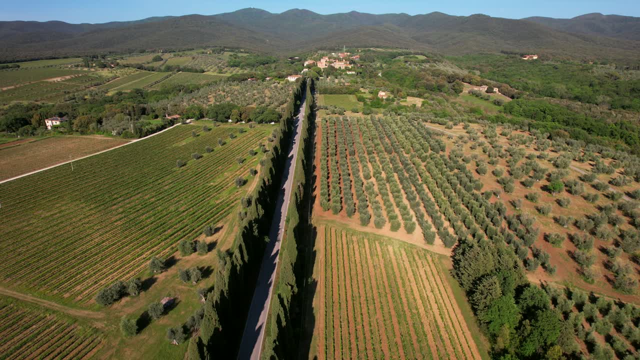 Video aereo del Viale dei Cipressi a Bolgheri, Italia.