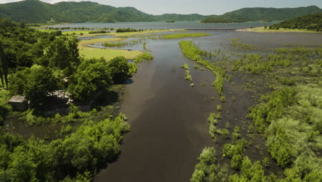 Flaches-Feuchtgebietsufer-Mit-üppiger-Vegetation-Des-Tkibuli-Seereservoirs