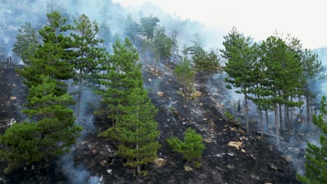 secuelas de un incendio forestal