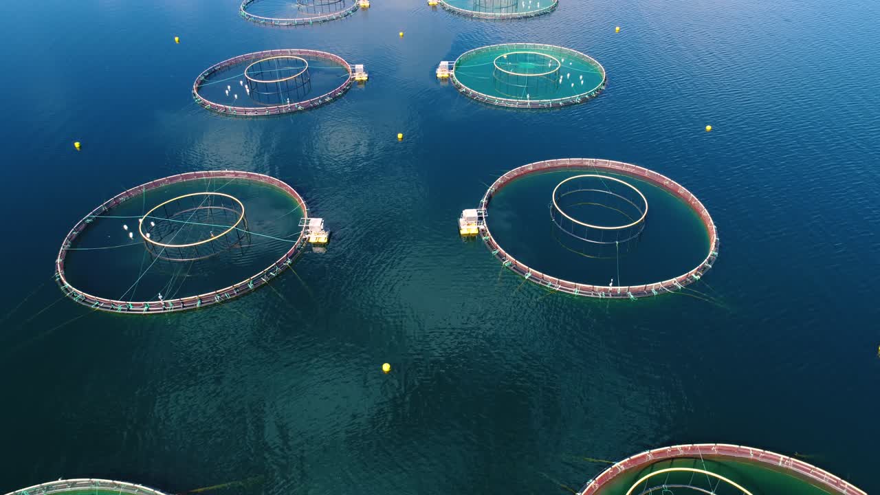 노르웨이에서 연어  ⁇ 시를 하는 공중 촬영