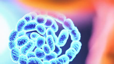 microscopic organisms and cellular structures