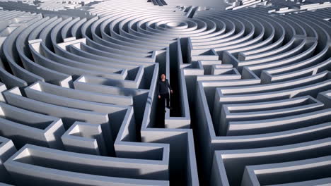 a person standing in the center of a vast, complex circular maze