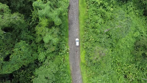 Luftaufnahme-Des-Autos-Mitten-Im-Dschungel