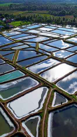 aerial view of fish farms
