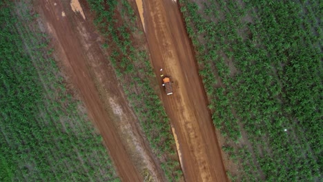 Vista-Superior-De-Los-Pájaros-De-Drones-Aéreos-Giratorios-Toma-De-Un-Jeep-Naranja-Estacionado-En-Un-Camino-De-Tierra-De-Arena-Roja-Rodeado-Por-Un-Gran-Campo-De-Caña-De-Azúcar-Verde-Tropical-Que-Crece-En-Rio-Grande-Do-Norte,-Brazli