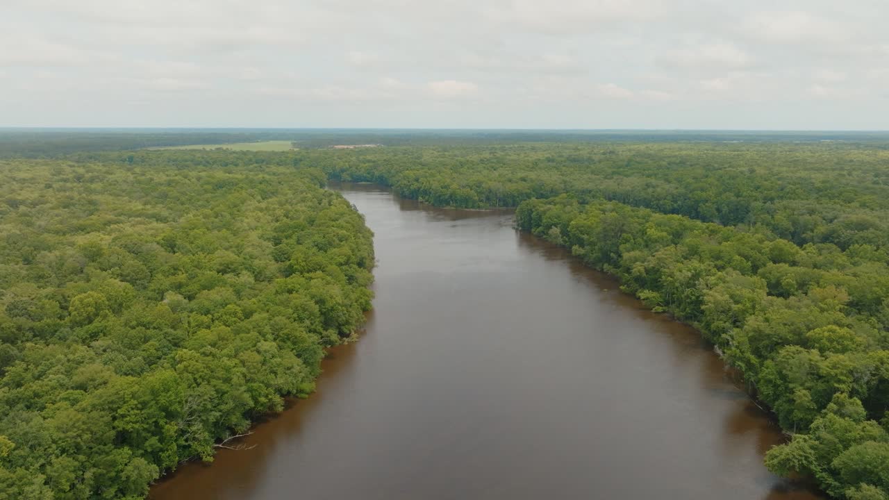 Large River Flowing Through A Forest on a blue sky day in South Carolina with birds.