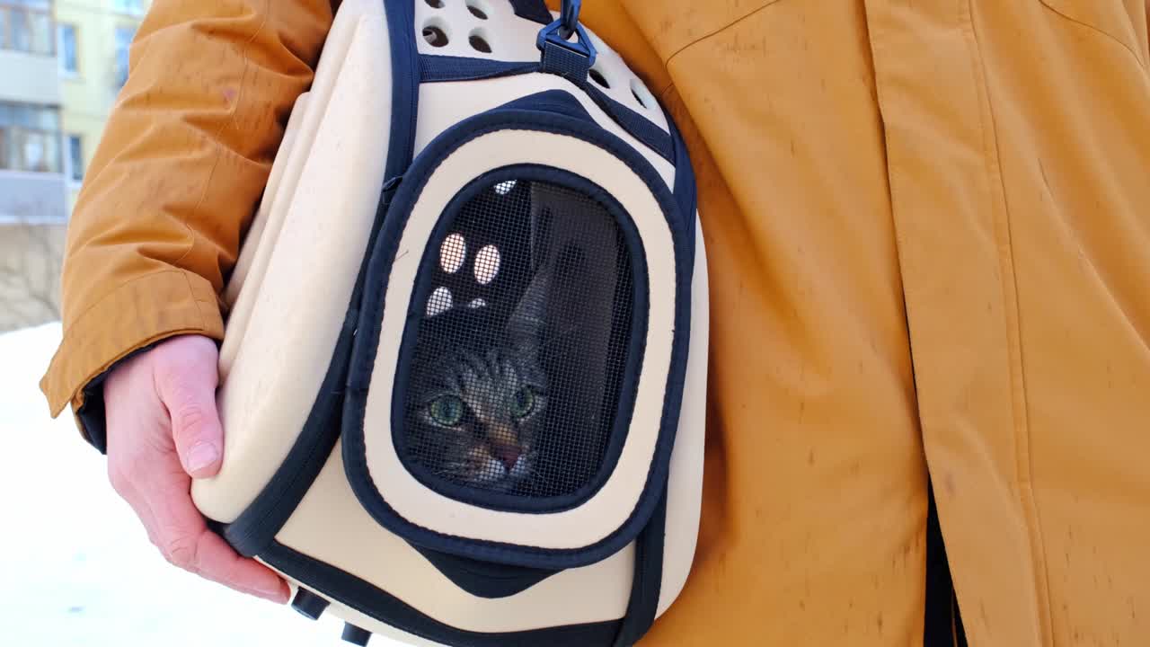 고양이는 겨울에 길거리에서 카리어 가방에 앉아있는 사람의 손에 을 통해 두려워보고 있습니다. 애완동물을 이동, 수의사를 방문, 편의 및 안전.