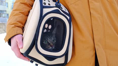 el gato está sentado en una bolsa de transporte en la calle en invierno en las manos de un hombre y mira con miedo a través de la red. moviendo una mascota, visitando a un veterinario, conveniencia y seguridad