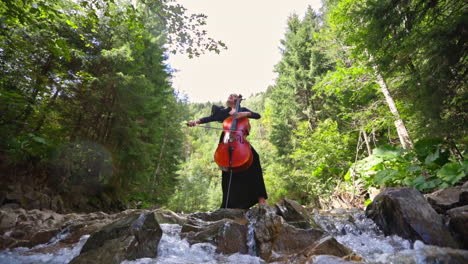 cellist playing music on green nature background. beautiful woman in black dress plays the cello on forest river background. view from below.