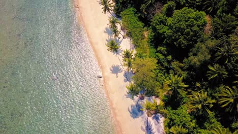 Tropical-sand-beach-with-palm-trees-in-sunset,-sunrise,-aerial-dolly-shot-flying-through-the-trunks,-wild-pristine-beach-in-Hawaii