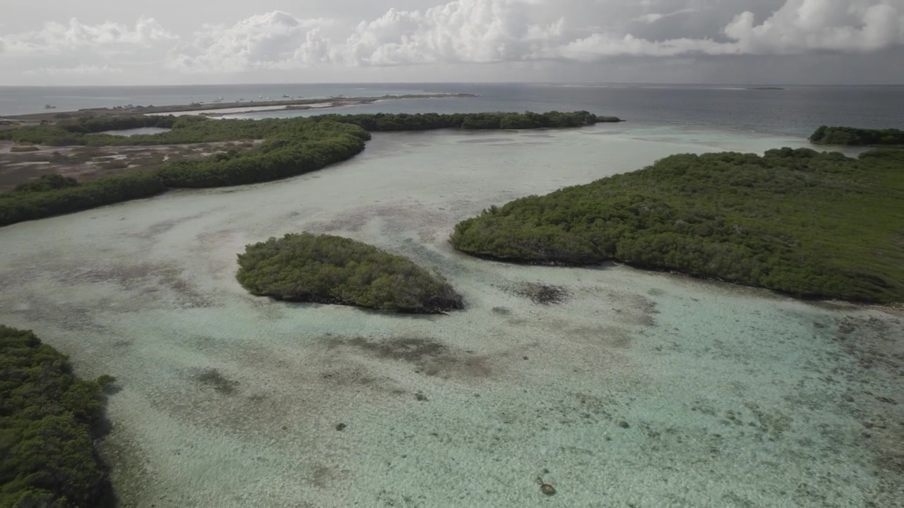 Veduta aerea dall'alto di Cayo Rasquí nel Parco Nazionale Los Roques, Venezuela, arcipelago caraibico.