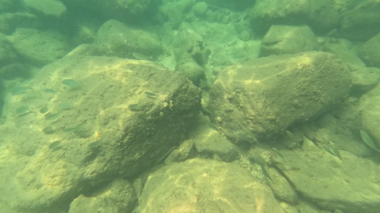el video submarino captura el fondo rocoso del océano con peces nadando en medio de las rocas en las aguas claras y soleadas de phuket, tailandia