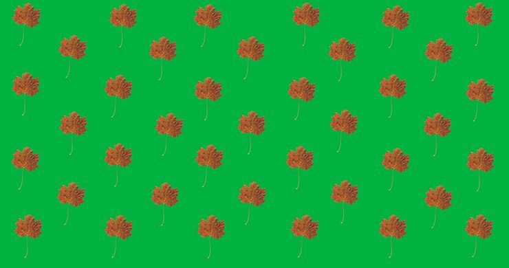 Digital animation of multiple autumn maple leaves in seamless pattern against black background