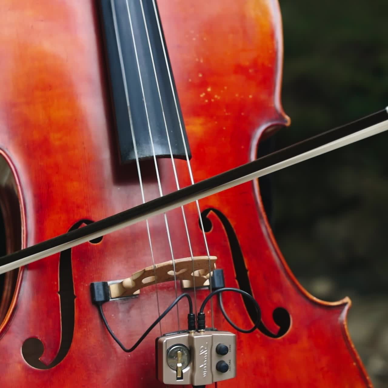 Detail of woman playing cello